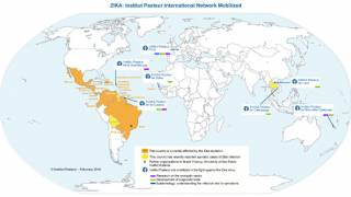 Zika vaccine