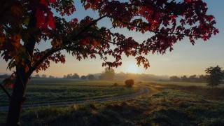 cool fall day sun rising