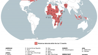 polio outbreaks August 2023