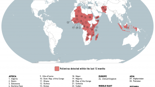 Polio outbreaks 2023