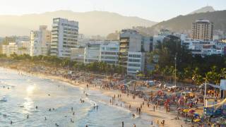 Brazil beach mosquitoes