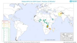 Polio outbreaks May 2023