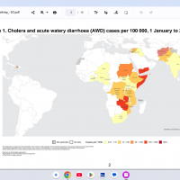 cholera vaccine